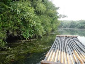 1278907_728954907688_2042246596_o