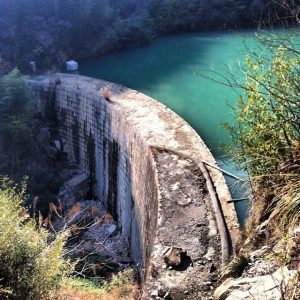 1451484_796323130493_862779323_n