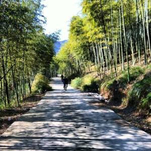 1458443_796322536683_941431220_n