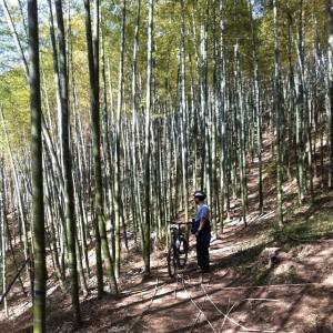 1461115_796322641473_1387757197_n