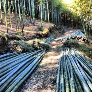 1474537_796322352053_2076722663_n