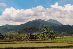 1483441_10151899983799290_764562170_n