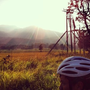 1504549_802619697123_318520948_n