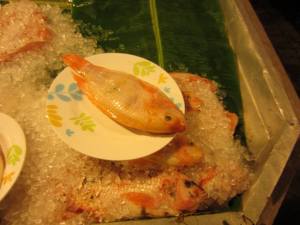 1512513_807593534513_844934698_n