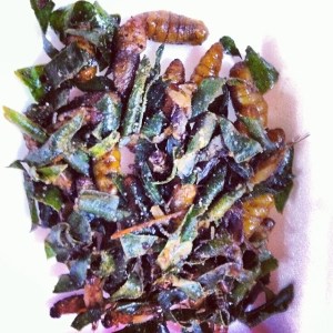 1525570_802620680153_218960766_n