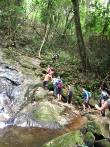 1544950_807592212163_812197413_n