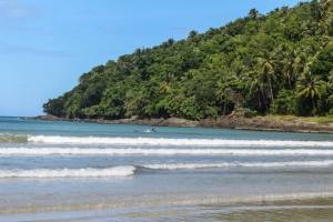 7563_10151899989239290_1601029921_n