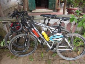 1012072_814564579483_1067752848_n