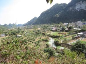 1601007_814563307033_651054219_n