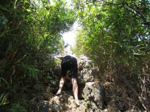 1621851_814563012623_814669845_n