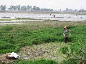 1621869_814561730193_1126354717_n