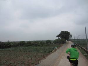 1795661_814560896863_1982057662_n