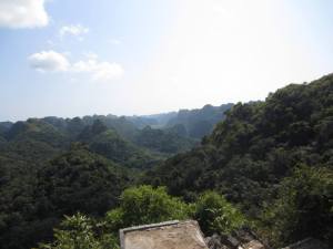 1798299_814563037573_2113239048_n