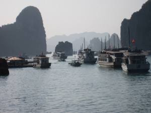 1798444_814562438773_1184248556_n