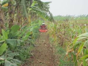 1902979_814561106443_493108425_n