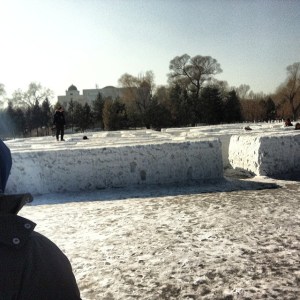 14521_818903344563_1047623557_n