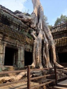 1503977_10100637849566533_663003762_n