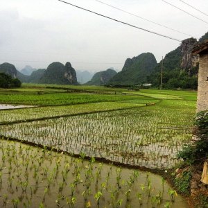 10247229_835937967043_7419208989949268118_n