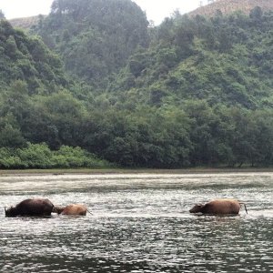 10308292_835938266443_3684271615307637127_n