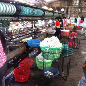 10151940_914247554003_3102456676949449989_n