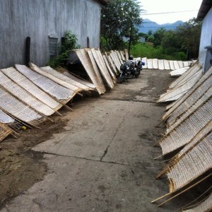 10154267_913705904473_4650443163210845451_n