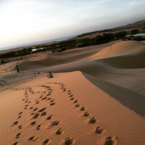 10891899_913400476553_7836909364189075897_n