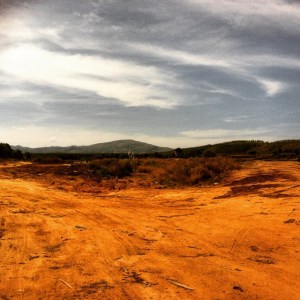 1901188_917310241353_7231765946926676607_n