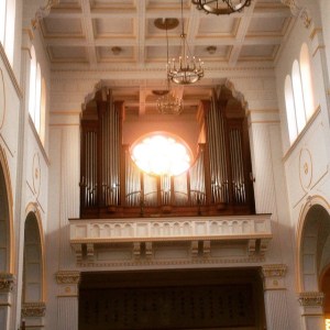 11174809_950422269583_405006448412358892_n