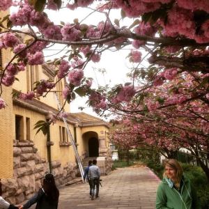 11182327_950422384353_3177648669063192146_n