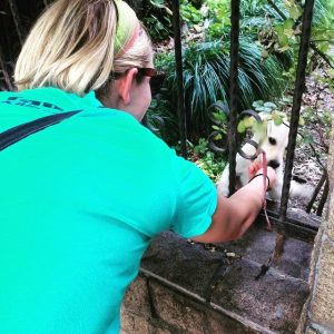 11125260_960079052313_773787616981870968_n