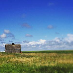 11811285_10101141737481113_5764324067915645721_n