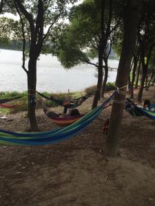 11668023_10101179207086723_349573867_n