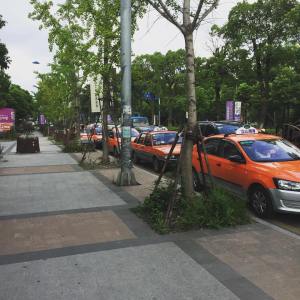 11998850_10101179193568813_6946694746455820811_n