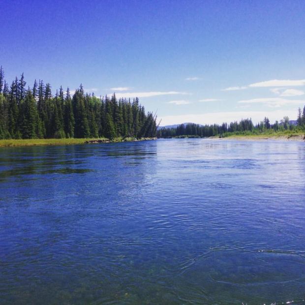 13731444_10100176639360693_6735285953889849019_n