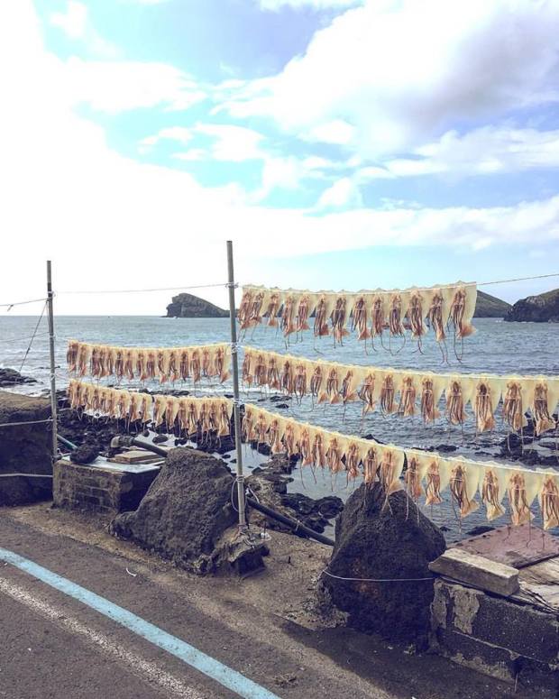 14495443_10101566714818123_2815893534168270001_n