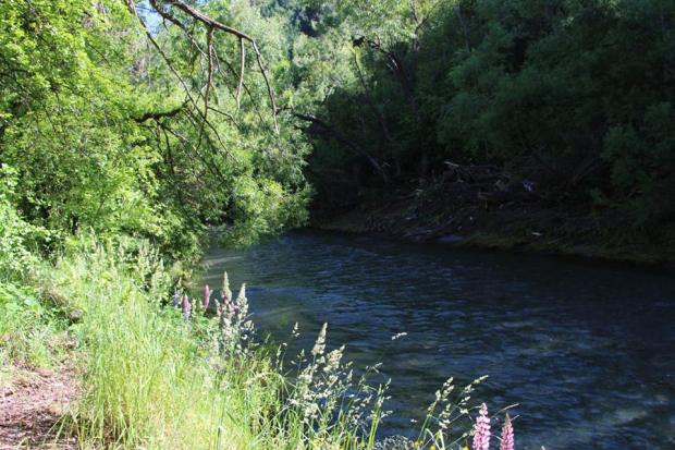 16114449_10100246474994523_3067655882570401778_n