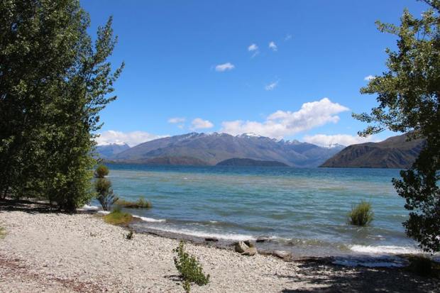 16114531_10100246474695123_6637023416042833431_n