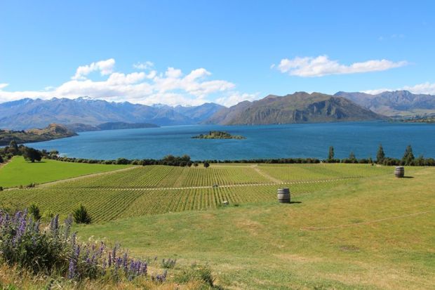 16114718_10100246474555403_6294742160318646446_n