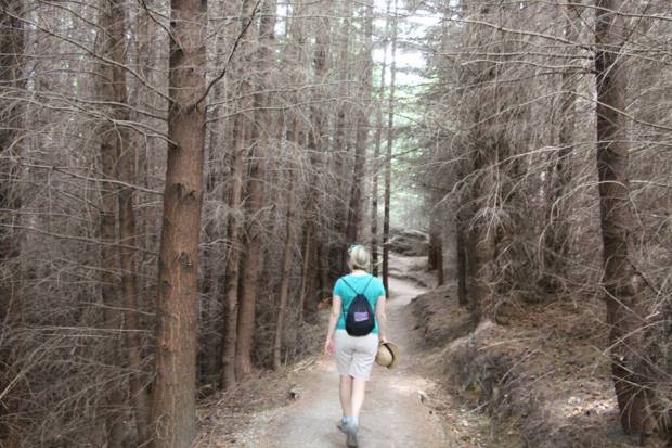 16142292_10100246477429643_5986499959916751917_n